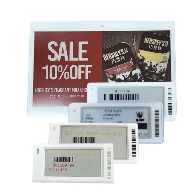 nano e-ink driver 2.9 inch 4" colour e ink display ESL System smart Digital Price Label E-paper Price Label Electronic Shelf