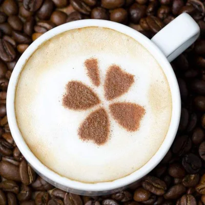 Coffe Sugar Free Whiten Creamer Non Dairy Creamer Manufacturer