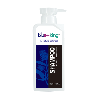 Hot Sale 750ml Hair Shampoo for Salon Use in China