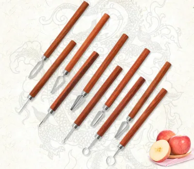 Wooden Handle Carving Broach Knife 10pcs Set Stainless Steel Fruit and Vegetable Platter Carving Knife Chef Edge Drawing Tool