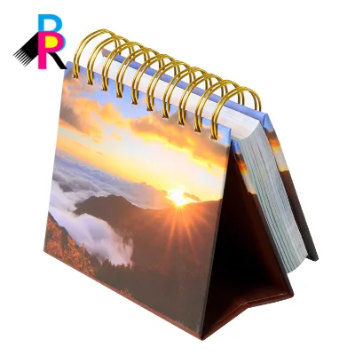 High Quality Sustainable Woodfree Paper Wire-O Wall Calendar Spot UV Coating for Retail Store Seasonal Display Personalized