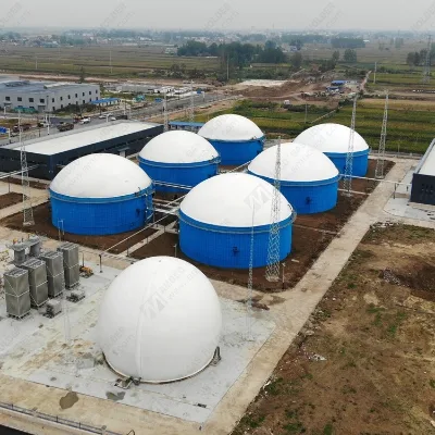 Double Membrane Biogas Holder Mounted for Cow Dung Waste Biogas Plant Chemical Application for UK
