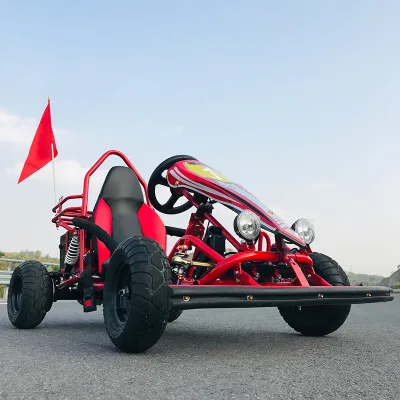 Customizable Electric Go Kart for Adults and Kids Cool Track Electric Go Kart
