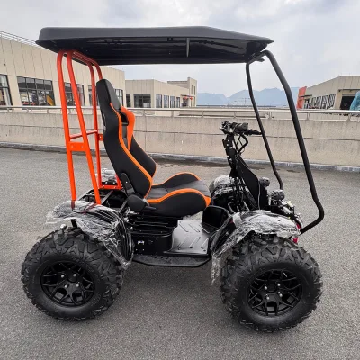 Long Distance Outdoor Mobility Scooter 6000W Motor 4 Wheel Electric Scooter with Roof Canopy
