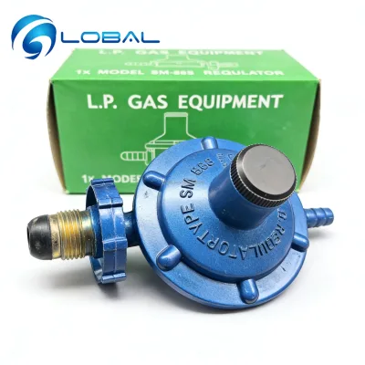 Hot Sale Wholesale SM888 Gas Propane LPG Low Pressure Regulator with High Quality