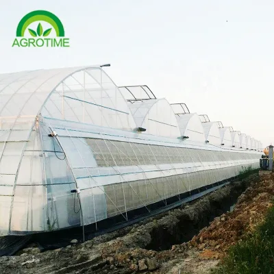 Sawtooth Roof Agricultural Greenhouse Large Stable Movable PC Sheet and Plastic Film Cover Hydroponic Greenhouse