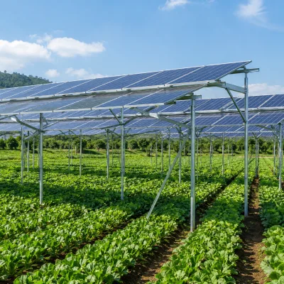 Landscape Portrait PV Module Racking for Agriculture Agrivoltaics Mounting System Aluminum 6005-T5+ SUS304 60m/s Wind Load