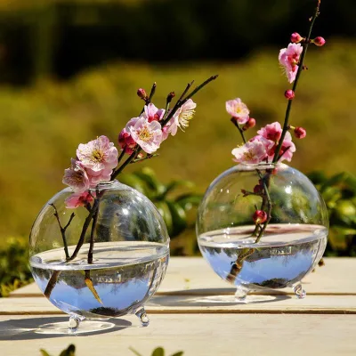 56H Factory Round clear Glass Hydroponic Vase Flower Arrangement Vessels Office Plant Decoration