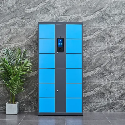 Wholesale Modern Metal Steel Storage Cabinets & Lockers with Electronic Lock-Smart Commercial Mall Use
