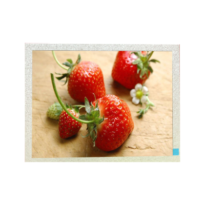 EJ080NA 05B Hot Sale Innolux Display 8 Inch 800x600 SVGA RGB Panel HD MI board TFT LCD Screen