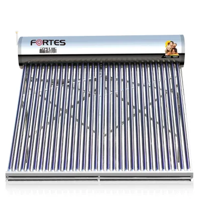 Fortes Solar Water Heaters All-in-one All Stainless Steel Optoelectronic Dual-use 100L 200L 300L