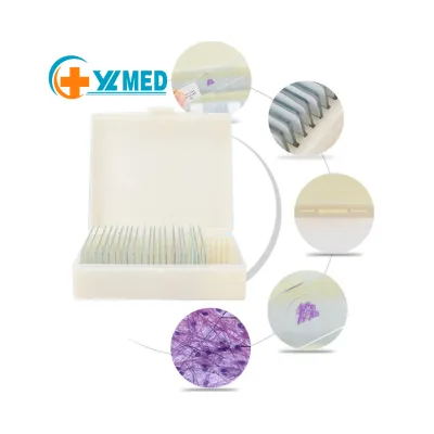 Human Histology Preparation Slides Supplied by the Laboratory Factory 100 Sets of Human Histology Preparation Microscope Slides