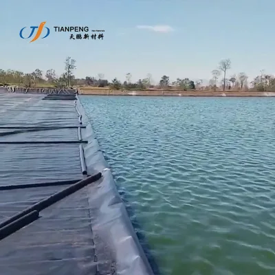 Water Containment 15mm Pond Plastic Liner Geosynthetics Geomembrane for Chemical Project in South Africa