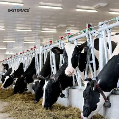 Factory Wholesale 130lm/w Evenly Illuminated IP66 Triproof Led Dairy Light Fixture Poultry Farm Lighting