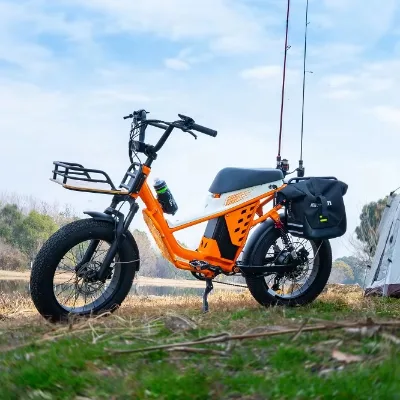 Factory Price Electric City Bike Motorized Bicycle Dual Suspension Electric Bike