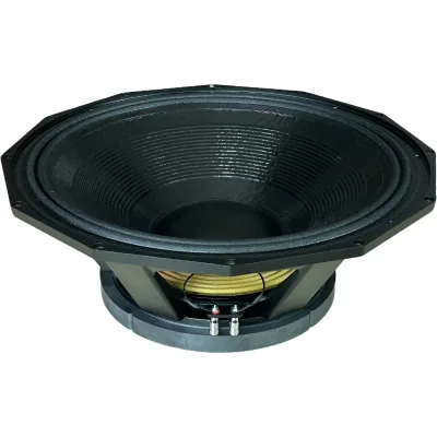 21 Inch Stage Bass Woofer Driver 3000W AES Power 150mm Pure Copper Voice Coil Ferrite Magnet for Large Line Array Speaker System