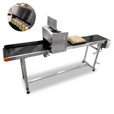 Best Choice Auto Egg Printing Machine/inkjet Printer for Egg/food Grade Ink Printer on Eggs