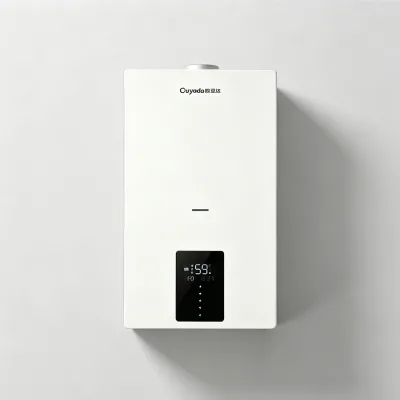 Smart WIFI Combi Gas Boiler Weather Compensation Anti Freeze LPG Gas Convertible 16-24KW Optional Guangdong Manufacturer ODM