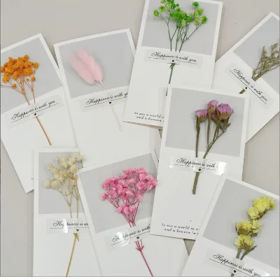 New Year's Day Valentine's Day Greeting Cards Dried Roses Handheld Gifts Teachers' Day Birthday Festive Roses Card Collection