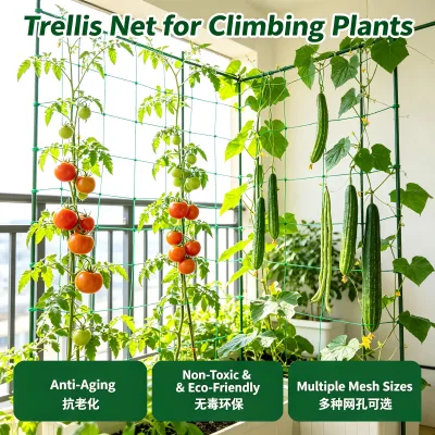 Reliable Source Pro Grower Smooth Surface Sun Stable Safety Green Width 1m Plant Support Net for Squash Easy Tying Italy