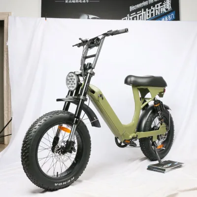 Vintage Electric Bike Factory Direct Sale 1000w Fat Tyre Electric Bike Women With Hidden Battery