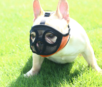 Wholesale Breathable Mesh Flat-Faced Dog Muzzle for Bulldogs Short Snout Design for Biting Chewing Licking Personalized Feature
