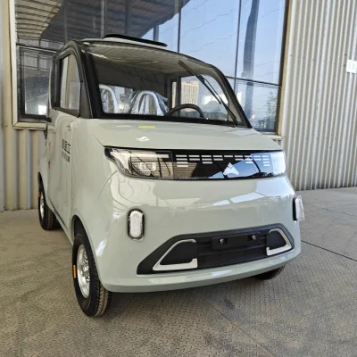 The Enclosed Electric Four-wheel Vehicle Can Be Customized with Lithium Batteries for Long Battery Life for Commuting to Work