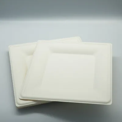 Factory Competitive Price Biodegradable Paper Plate Disposable Custom Sugarcane Pulp Paper Plate Cake Plates