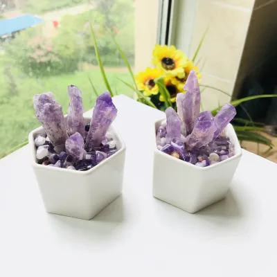 New Products Wholesale Natural Clear Quartz Crystal Pots With  Amethyst Potted for Decoration