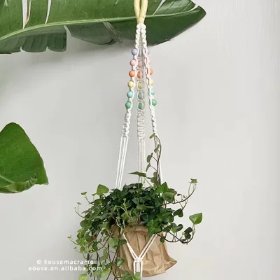 Costom Color Macrame Plant Hanger Wall Decoration for Garden Handmade Plant Holder Decor Boho Home Decor Flower Pot EH2504068