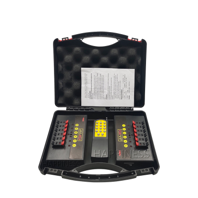 12 Cue HAPPINESS Wireless Firing System Fireworks With Remote