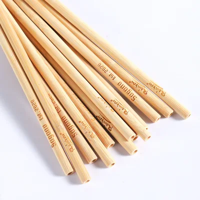 Ecoware Custom Laser Logo Disposable Biodegradable Eco-friendly Bamboo Straws 200mm for Home Bars Parties and Camping