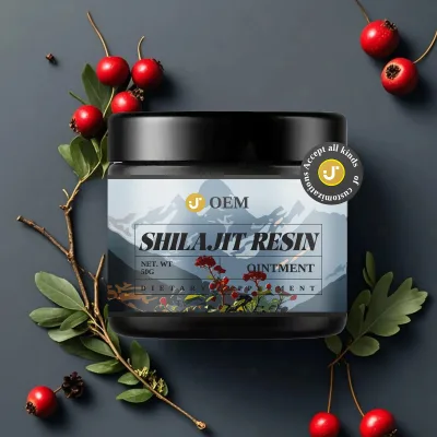 Pure Himalayan Shilajit Resin Gentle Formula Herbal Supplements for Traveler's Wellness Oleoresin Active Plastic Container