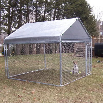 Dog Kennel, Chicken Coop
