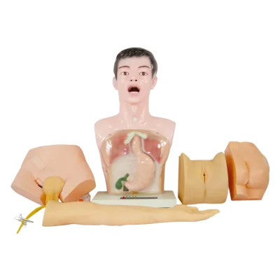 Basic Medical Science Internship Operation Anatomical Care Human Anatomy Manikin Nurse Training Nursing Practice Teaching Model