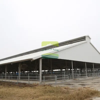 Dairy Cattle Farm Equipment Complete Barn Design and Layout Service