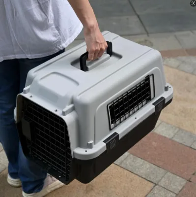 Luxury Brand Designer Cute Pet Carrier Dog Carrier cat Carrier for Big Medium Cats and Puppy