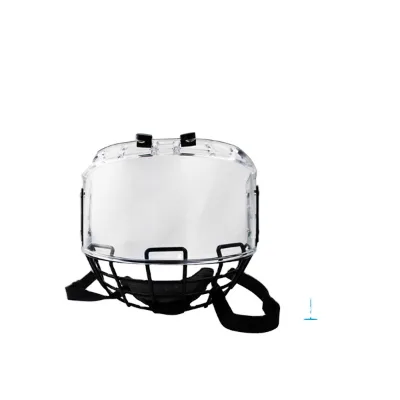 High Quality Wholesale A3 Steel PC Clear Ice Hockey Player Helmet Cage with Face Cage