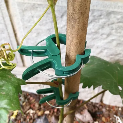 Green Gentle Gardening Plant & Flower Vine Lever Loop Gripper Clips Plants Fixture Clips Garden Support Tie Spring Plant Clips