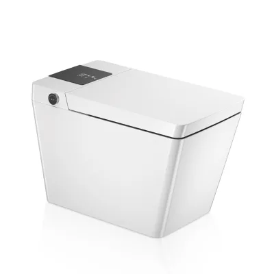 Luxury Western Ceramic Tankless Self Open Intelligent Closestool