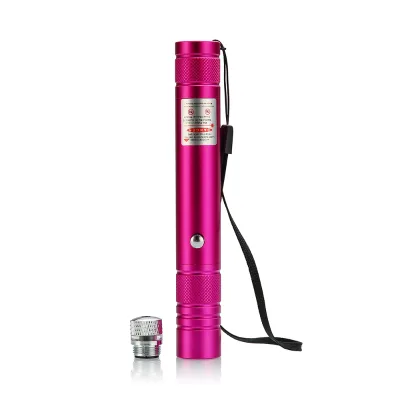 Portable 532nm Multi-pattern USB Red Green Laser Pointer Pen for Dogs Cats