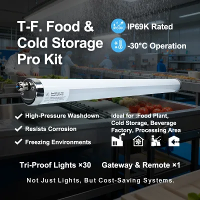 Amelech Smart Tri-proof LED Lighting Solutions for Dairy & Chemical Processing Car Washes Swimming Pools