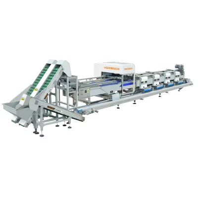 Popular Hot Selling Pistachio Cashew Nut Color Sorterpistachio Cashew Nut Color Sorter From Vsee Company