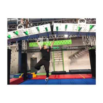 Obstacle Course Training Gym Salmon Ladder Monkey bar Ninja Warrior Playground
