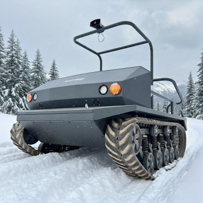 Tourist Attraction Recreational Family-friendly Amusement Vehicle for Scenic Area