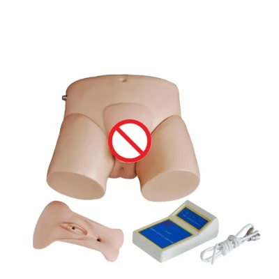 Medical Science Electronic Urethral Catheterization Nursing Training Model