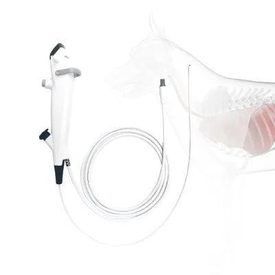 Veterinary Endoscope Flexible Design with Operation Cannel for Dogs Cats Foreign Body Retrieval