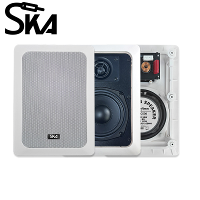 SKVA RC860 Background Music Sound System Wall Mounted Fixed Resistance Ultra-Thin Home Theater Surround Speaker 8 Ohm Passive
