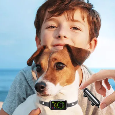 2025 Newest Dog Bark Deterrent Device No Bark Collar Anti Stop Barking for Small Large Dogs
