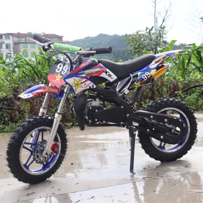 10-Year-Old Child's 49cc Petrol Motorcycle 2-Stroke Dirt Bike Brushless Motor Electric Fuel Kick Start 50cc Baby Bike